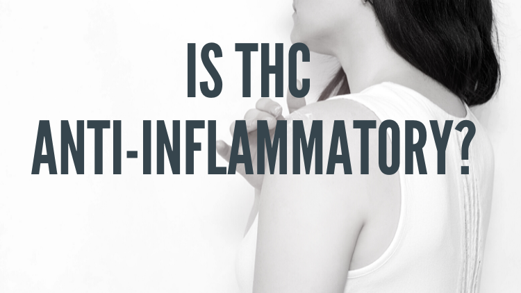 thc-anti-inflammatory