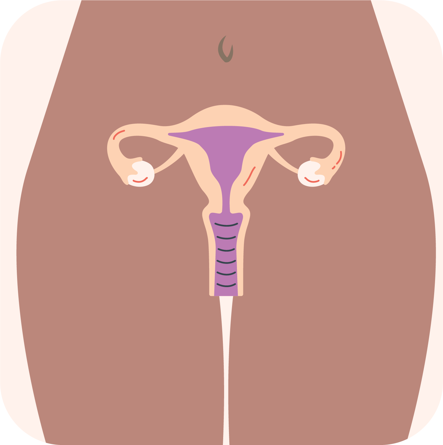 Diagram of how a vaginal suppository works