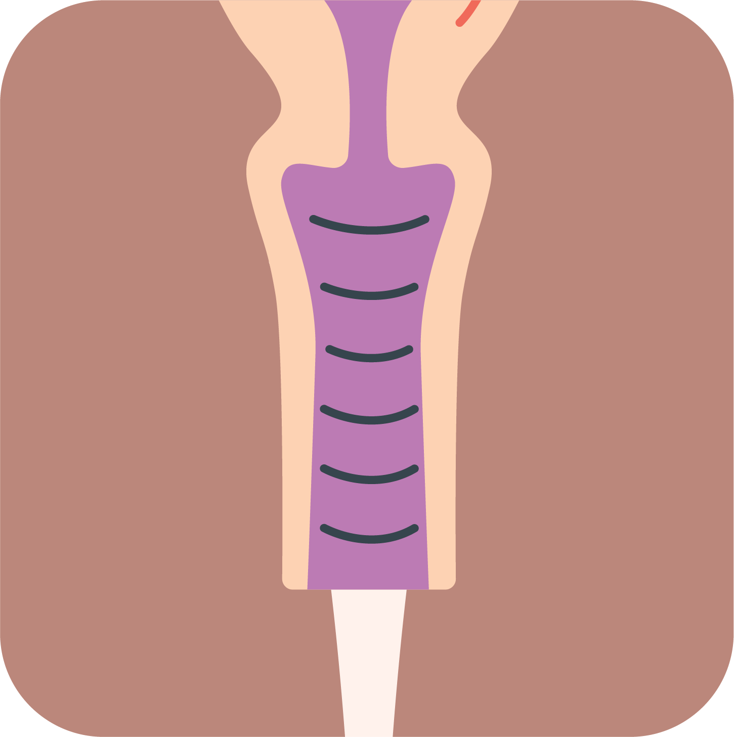 Diagram of how a vaginal suppository works