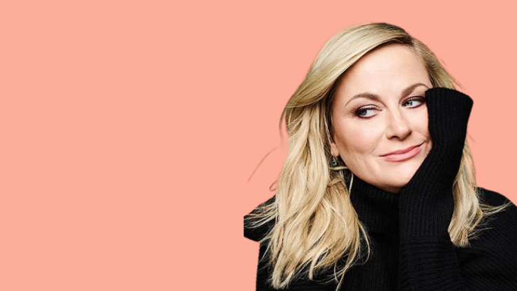 amy-poehler