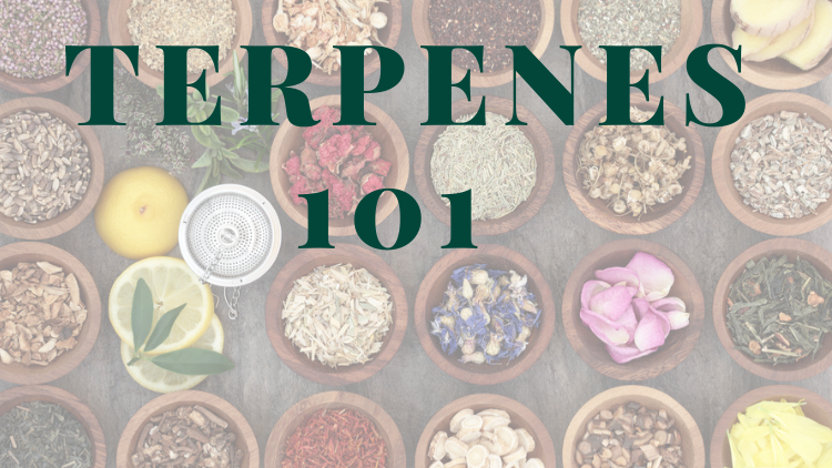 terpenes-101