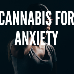 cannabis-for-anxiety