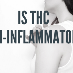thc-anti-inflammatory